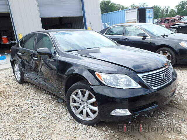 Photo JTHCL46F695003846 - LEXUS LS460 2009