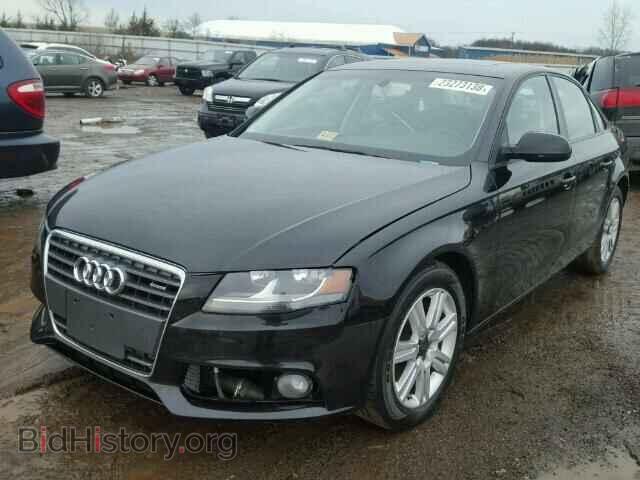 2010 AUDI A4 - VIN: WAUBFAFL3AN010232 - Фото 2