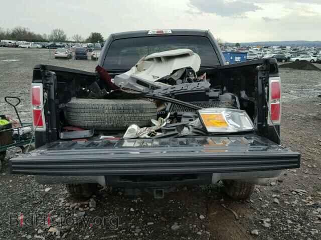 2013 FORD F150 - VIN: 1FTMF1EF2DFA20935 - Фото 6