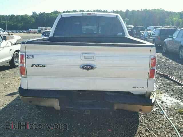 2013 FORD F150 - VIN: 1FTFW1EF4DFD15561 - Фото 9