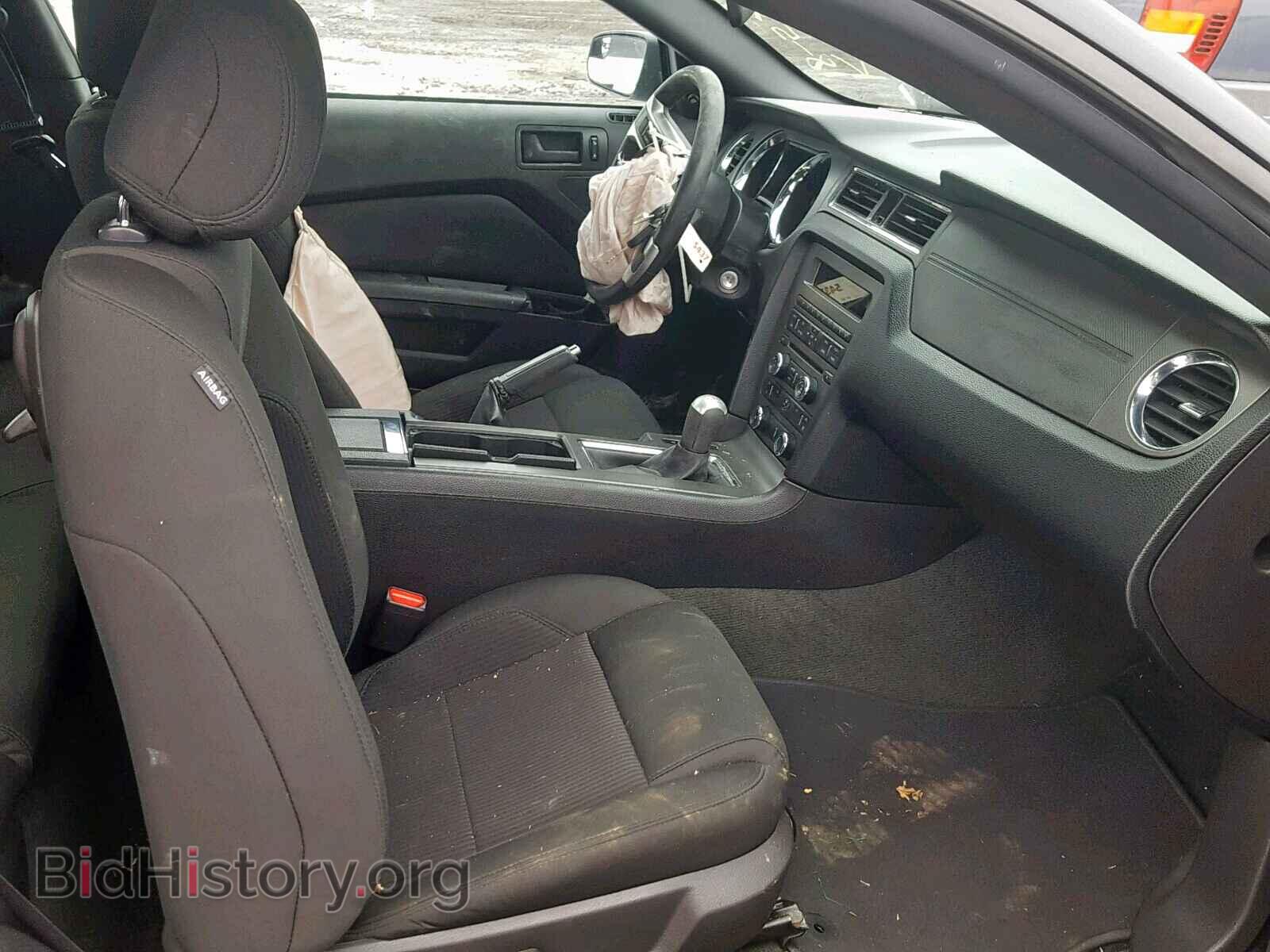 2014 FORD MUSTANG - VIN: 1ZVBP8AM7E5280365 - Фото 5