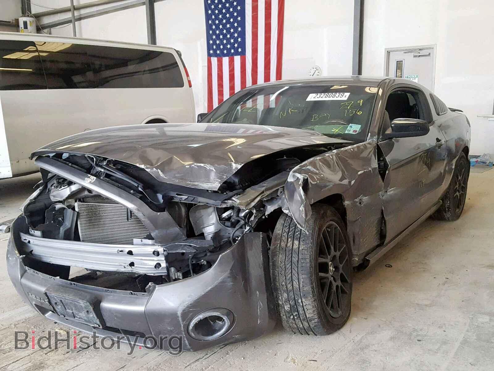 2014 FORD MUSTANG - VIN: 1ZVBP8AM5E5299156 - Фото 2