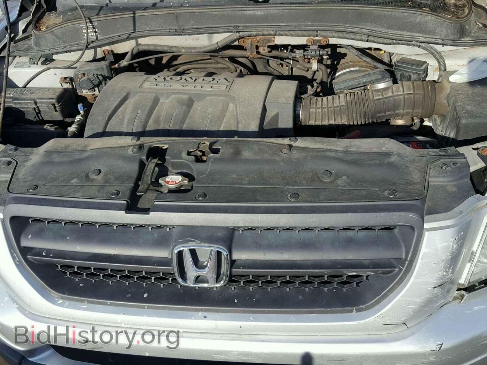 2005 HONDA PILOT - VIN: 5FNYF18575B035344 - Фото 7