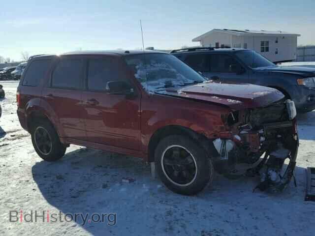 Фотография 1FMCU0DG5BKB93273 - FORD ESCAPE 2011