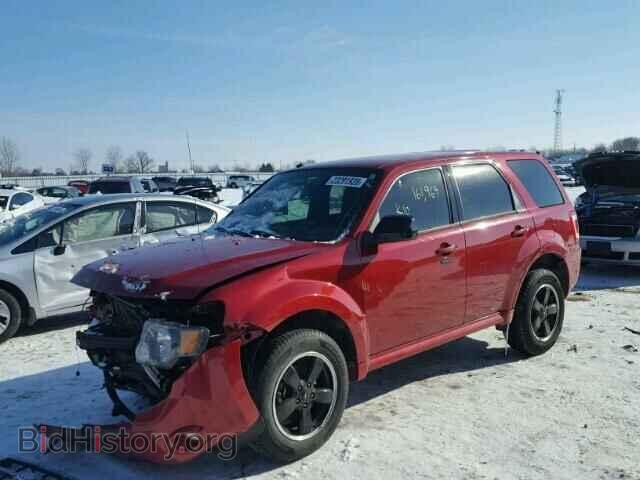 2011 FORD ESCAPE - VIN: 1FMCU0DG5BKB93273 - Фото 2