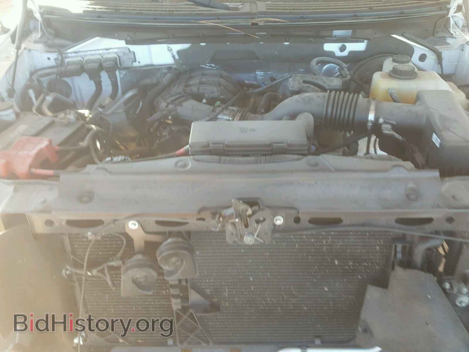 2013 FORD F150 - VIN: 1FTMF1CM8DFD11814 - Фото 7