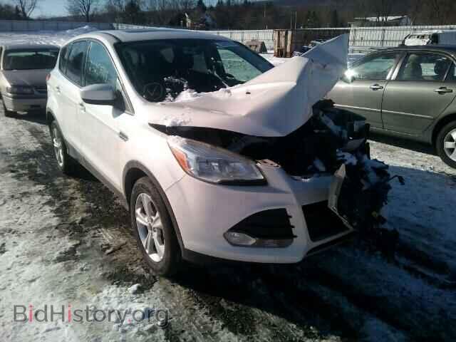 Фотография 1FMCU0G99DUC66763 - FORD ESCAPE 2013