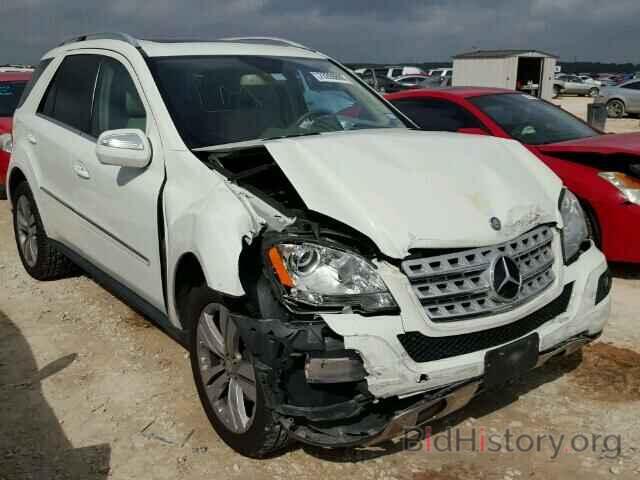 Photo 4JGBB5GB7AA565831 - MERCEDES-BENZ ML350 2010