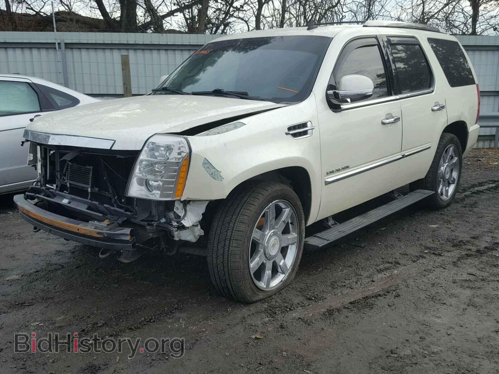 2011 CADILLAC ESCALADE - VIN: 1GYS4CEF1BR102766 - Фото 2
