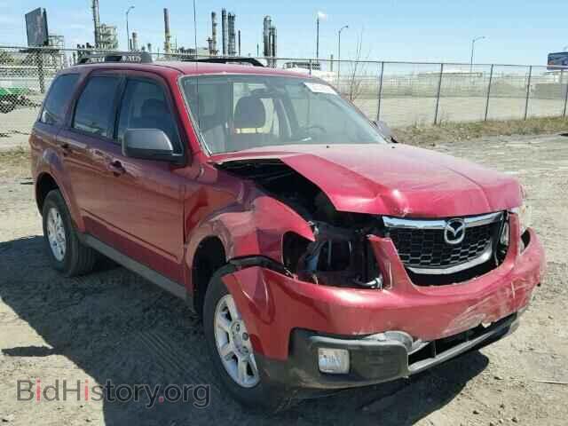Photo 4F2CY0C72BKM00308 - MAZDA TRIBUTE 2011