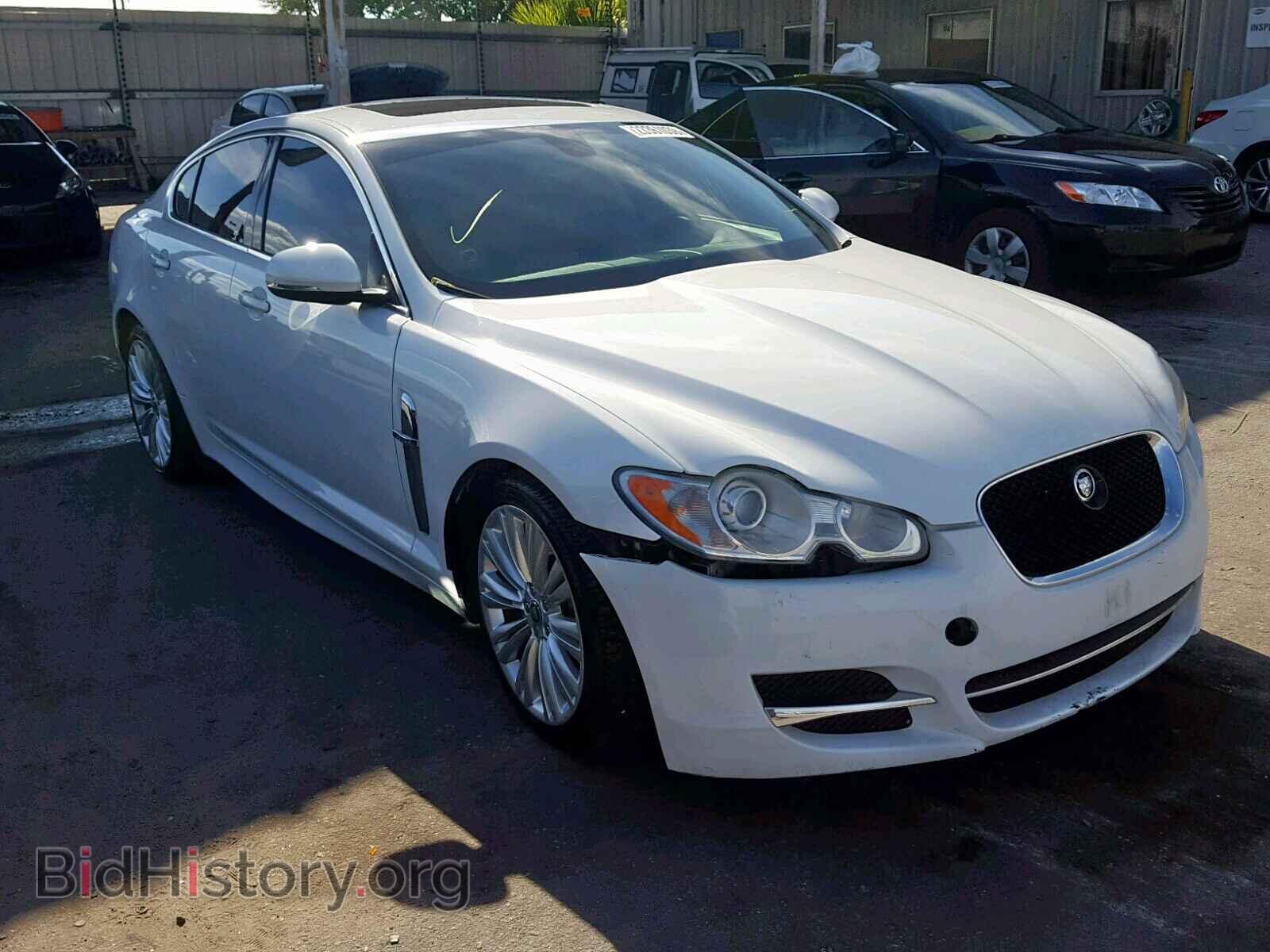 Фотография SAJWA0FB8BLS12843 - JAGUAR XF 2011