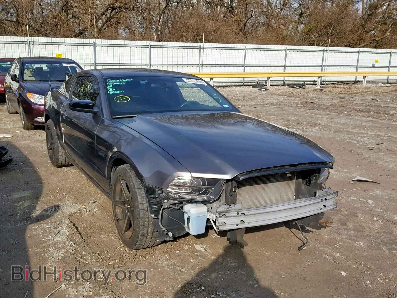 Фотография 1ZVBP8AM7E5270077 - FORD MUSTANG 2014