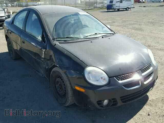 Photo 1B3ES46CX4D592323 - DODGE NEON 2004