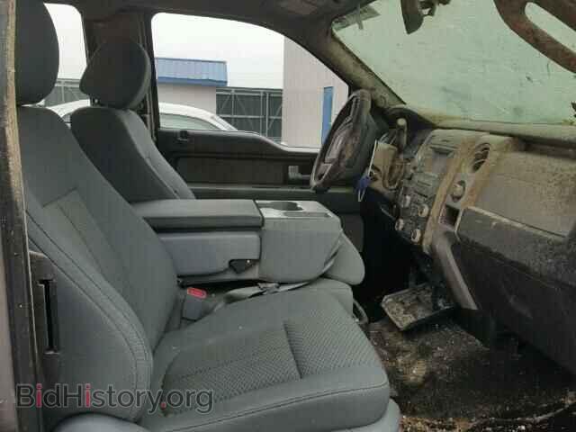 2013 FORD F150 - VIN: 1FTFX1EF8DFA15227 - Фото 5