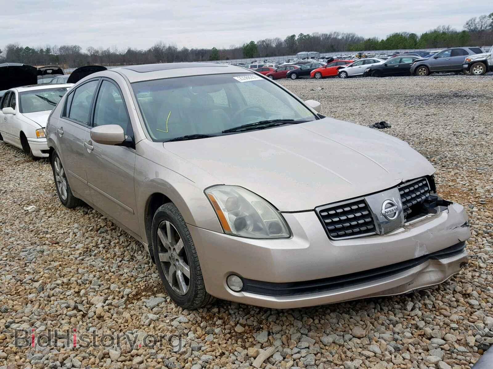 Photo 1N4BA41E25C874708 - NISSAN MAXIMA 2005