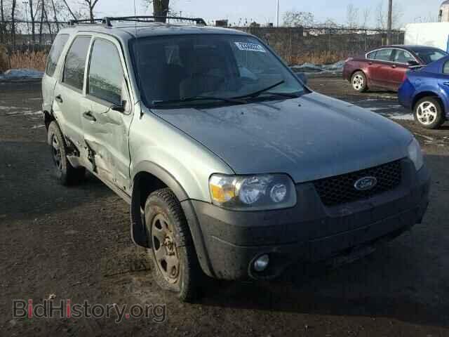 Фотография 1FMYU03167KA57793 - FORD ESCAPE 2007