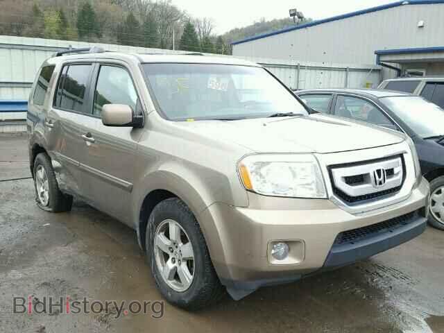 Фотография 5FNYF48599B001056 - HONDA PILOT 2009