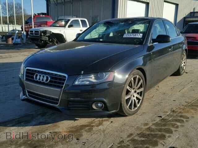 2010 AUDI A4 - VIN: WAUEFAFL9AN012371 - Фото 2
