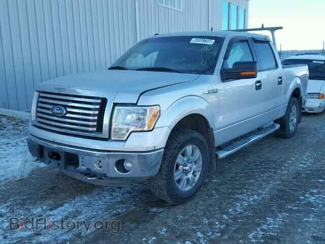 2011 FORD F150 - VIN: 1FTFW1EF3BFB19110 - Фото 2