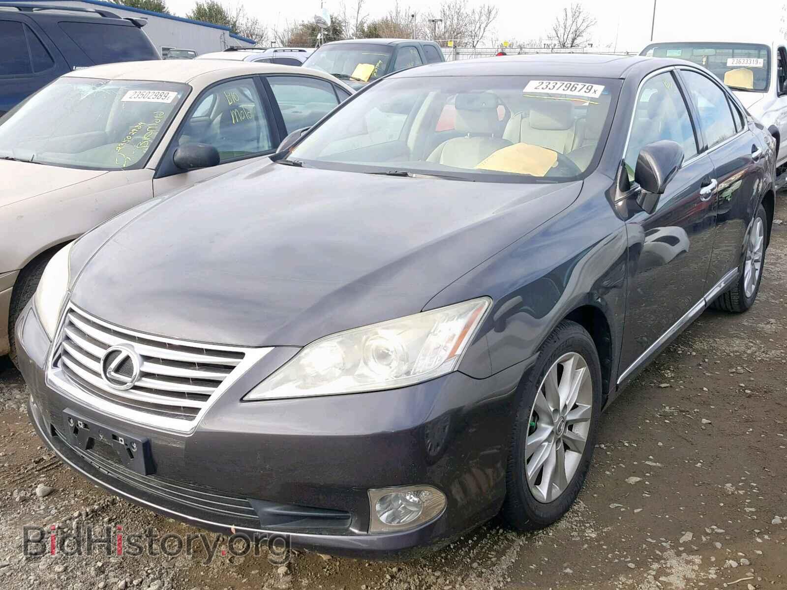 2010 LEXUS ES350 - VIN: JTHBK1EG8A2377968 - Фото 2