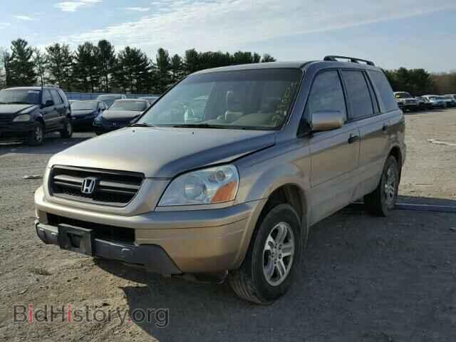 2005 HONDA PILOT - VIN: 5FNYF18645B060534 - Фото 2