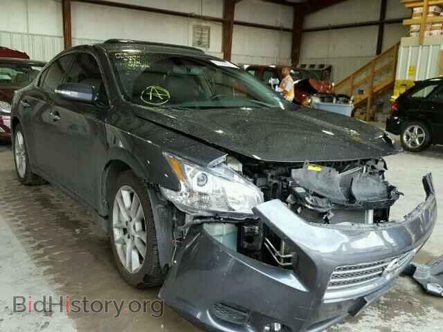 Фотография 1N4AA5AP5AC849461 - NISSAN MAXIMA 2010