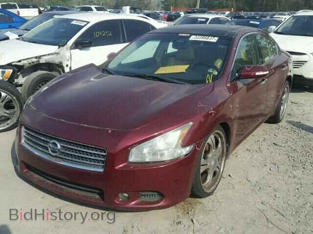 2011 NISSAN MAXIMA - VIN: 1N4AA5AP7BC840682 - Фото 2