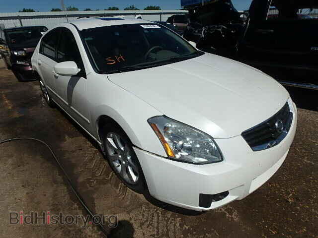 Photo 1N4BA41E38C836229 - NISSAN MAXIMA 2008