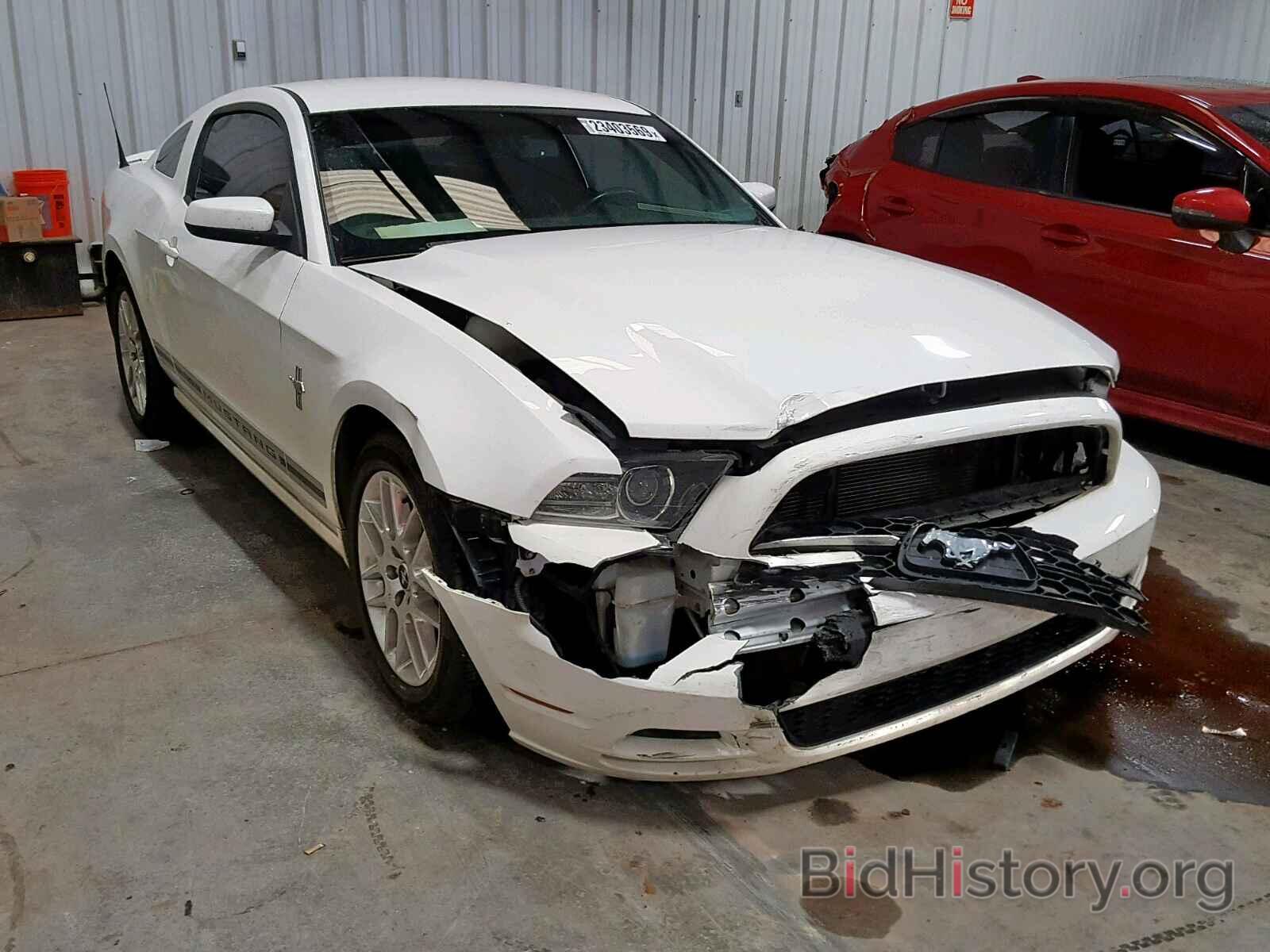 Photo 1ZVBP8AM5D5266933 - FORD MUSTANG 2013