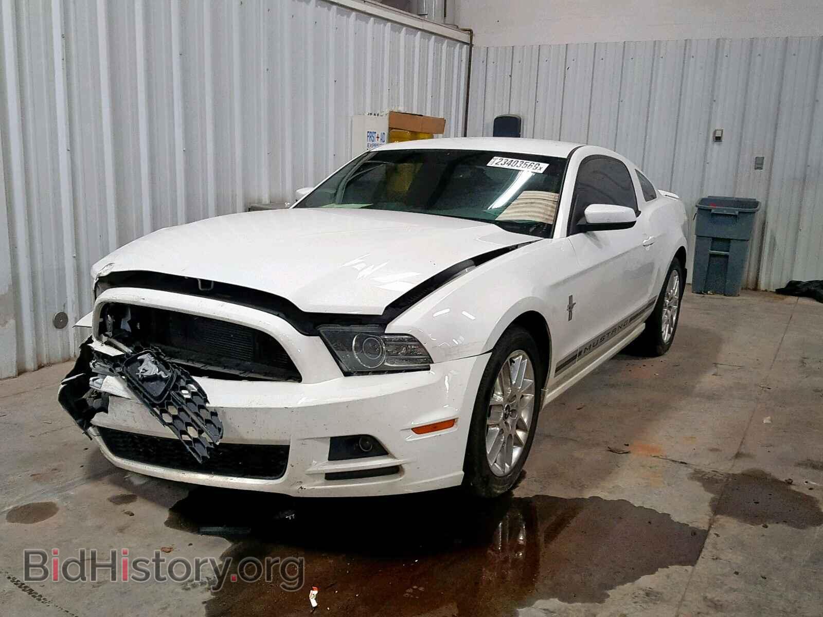 2013 FORD MUSTANG - VIN: 1ZVBP8AM5D5266933 - Фото 2