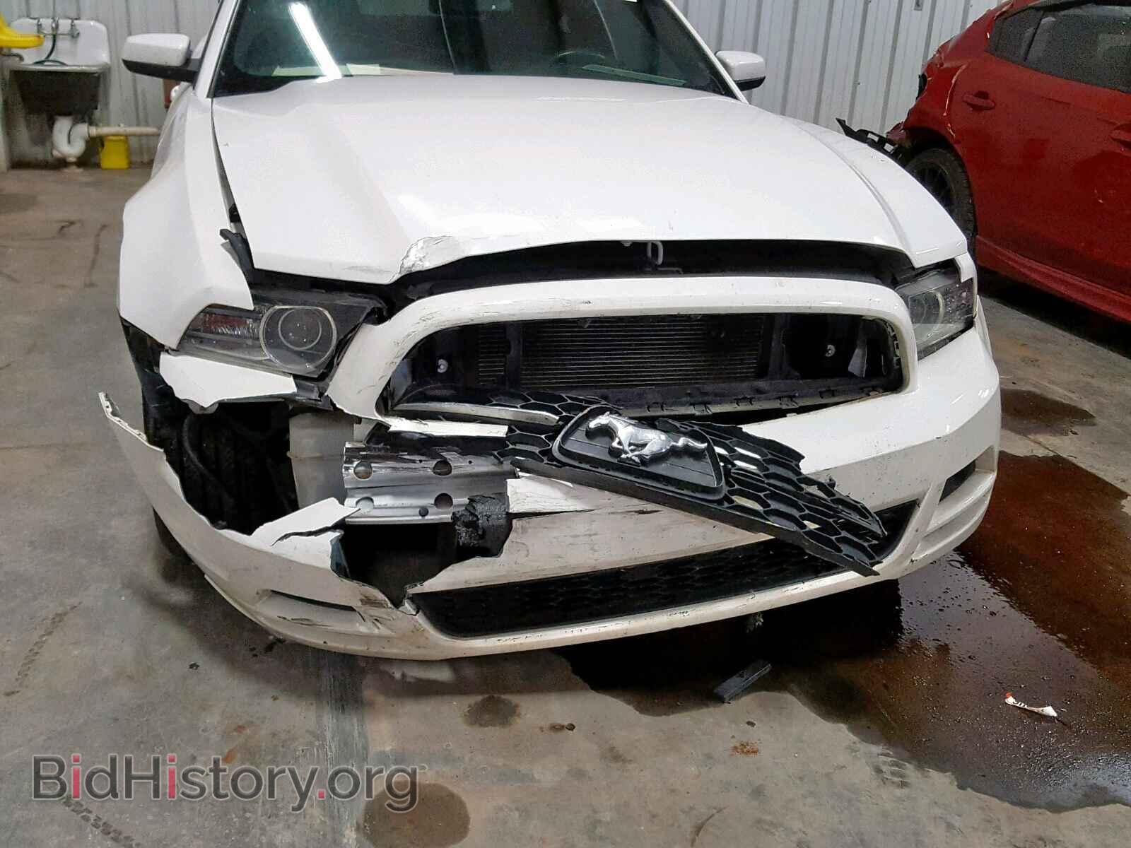 2013 FORD MUSTANG - VIN: 1ZVBP8AM5D5266933 - Фото 9