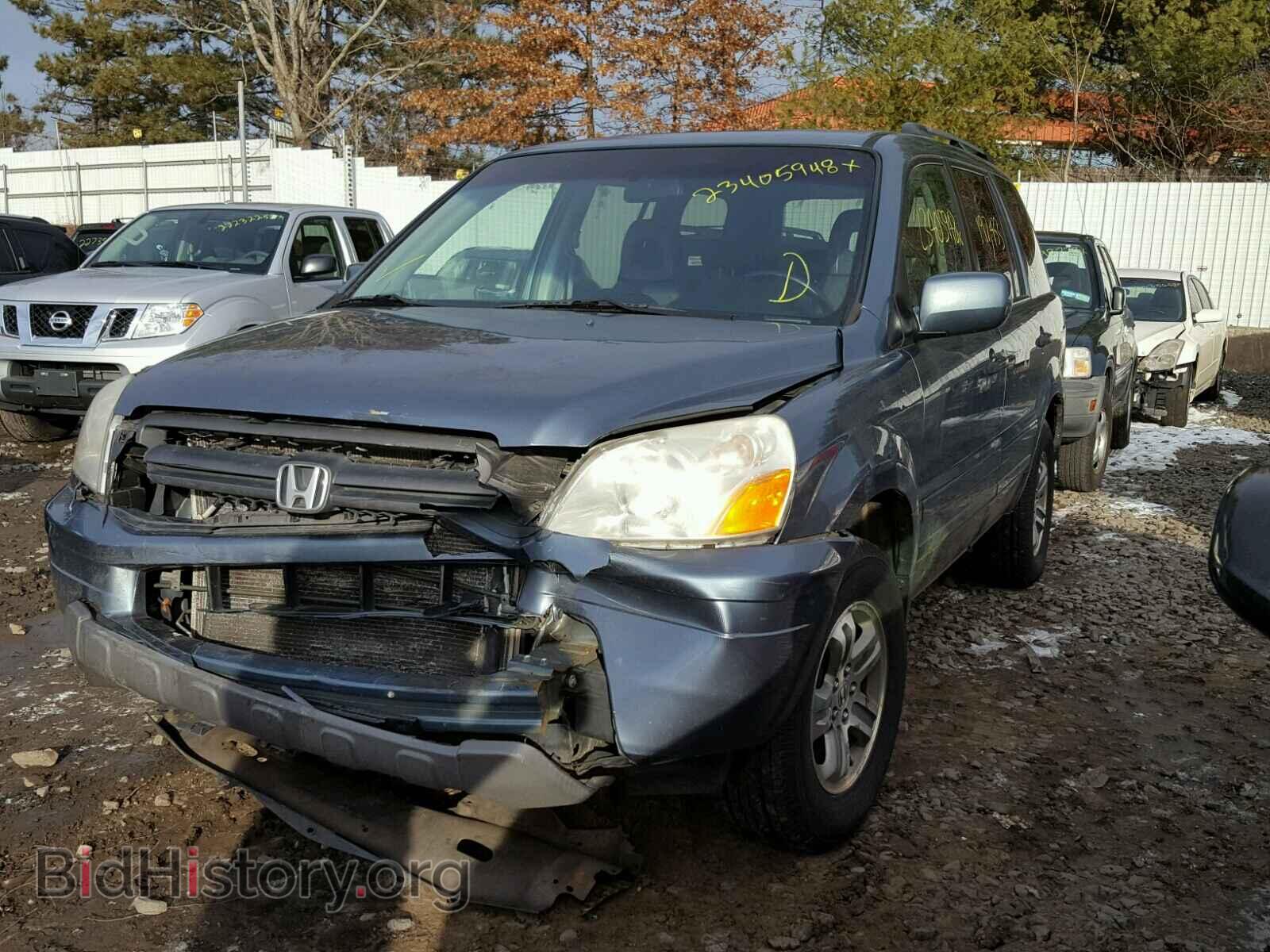 2005 HONDA PILOT - VIN: 2HKYF18655H516445 - Фото 2