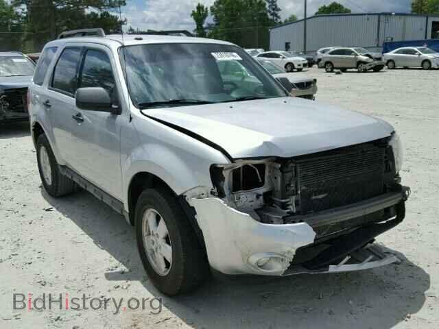 Фотография 1FMCU0DGXBKB95262 - FORD ESCAPE 2011