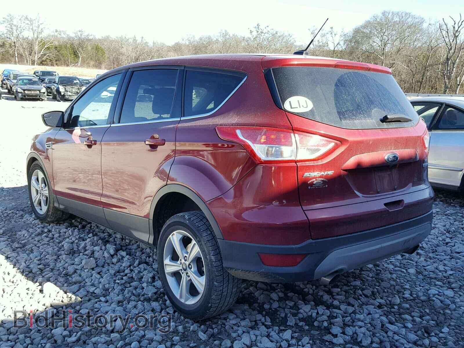 2014 FORD ESCAPE - VIN: 1FMCU0GX2EUB22178 - Фото 3