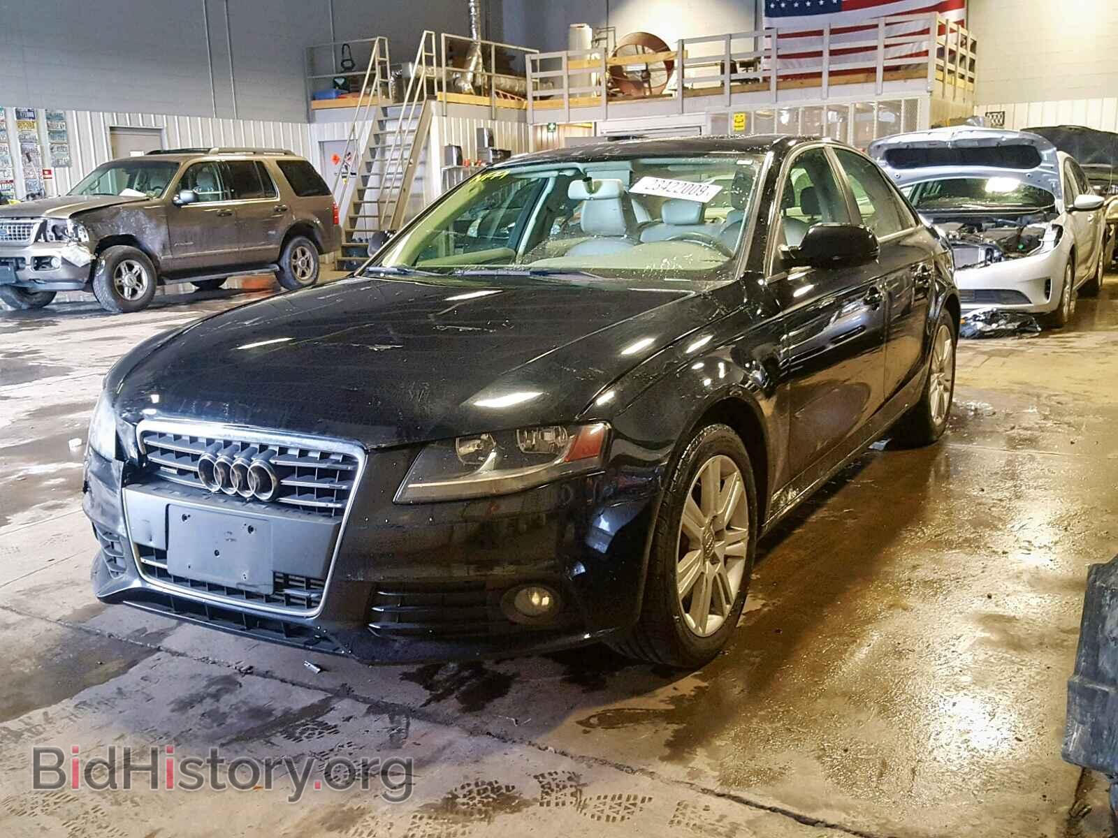 2010 AUDI A4 - VIN: WAUBFAFL1AN045786 - Фото 2