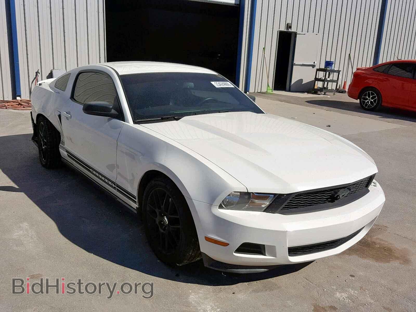 Photo 1ZVBP8AM4C5282751 - FORD MUSTANG 2012