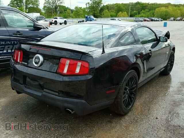 2011 FORD MUSTANG - VIN: 1ZVBP8CF8B5141906 - Фото 4