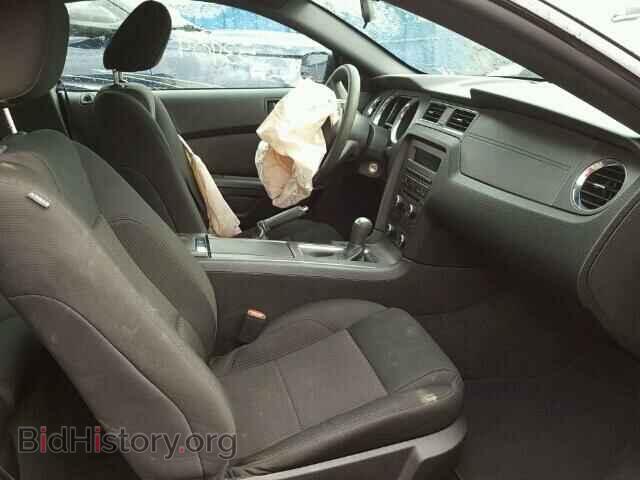 2011 FORD MUSTANG - VIN: 1ZVBP8CF8B5141906 - Фото 5