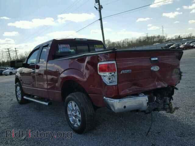 2013 FORD F150 - VIN: 1FTFX1CF0DFC40812 - Фото 3