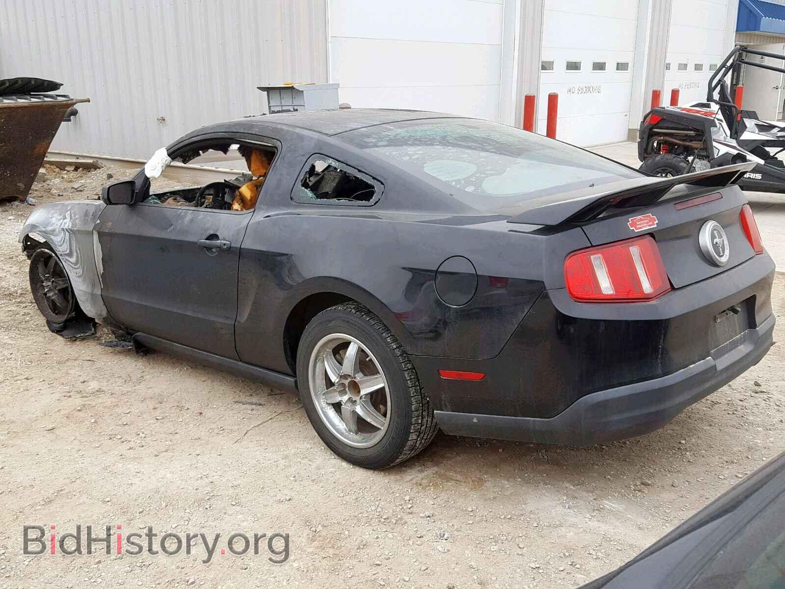 2010 FORD MUSTANG - VIN: 1ZVBP8AN8A5113614 - Фото 3