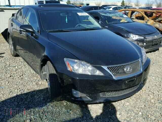 Фотография JTHBF5C2XA5120859 - LEXUS IS250 2010