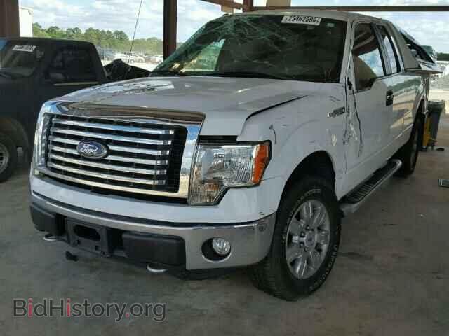 2011 FORD F150 - VIN: 1FTFX1EFXBFD18331 - Фото 2
