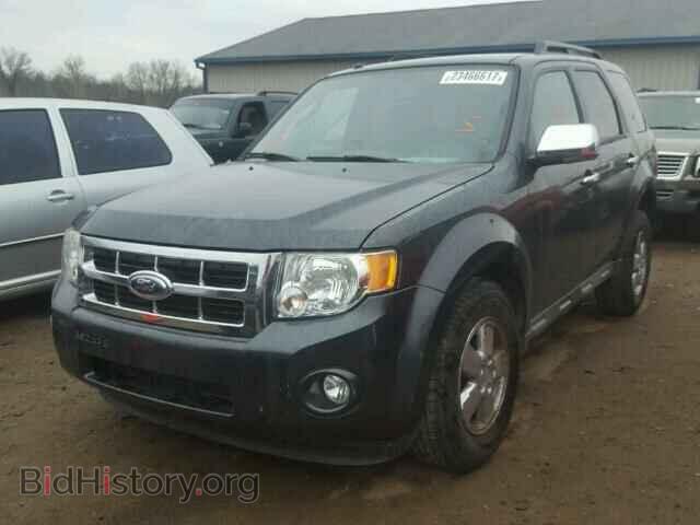 2009 FORD ESCAPE - VIN: 1FMCU03759KC47666 - Фото 2
