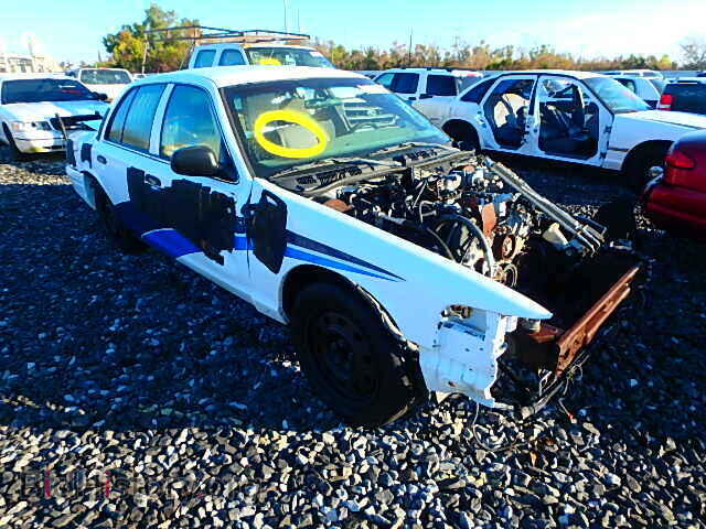 Фотография 2FABP7BV7AX109831 - FORD CROWN VIC 2010