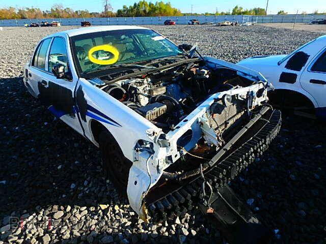 Фотография 2FABP7BV0AX110769 - FORD CROWN VIC 2010
