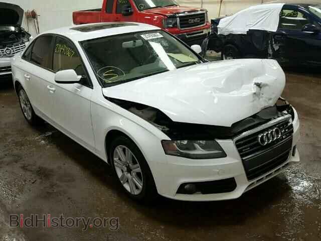 Фотография WAUBFAFL9AN019419 - AUDI A4 2010