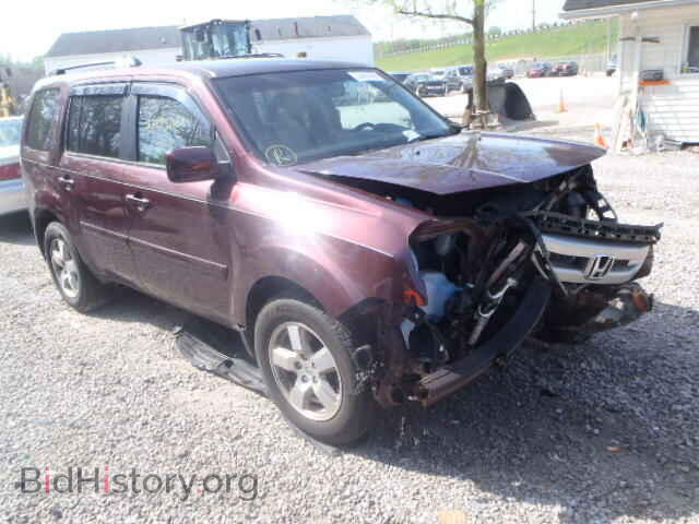 Фотография 5FNYF4H52BB044790 - HONDA PILOT 2011