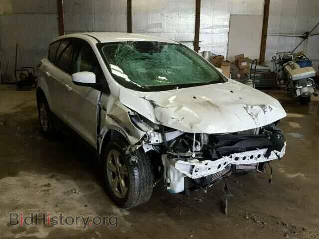 2013 Ford ESCAPE Escape SE (VIN 1FMCU9GX2DUC48429) — фото 1 из 10, Copart, повреждение: передняя часть