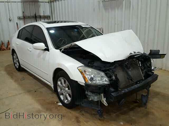 Photo 1N4BA41E08C825317 - NISSAN MAXIMA 2008