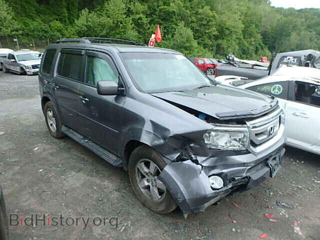 Фотография 5FNYF4H52BB034020 - HONDA PILOT 2011